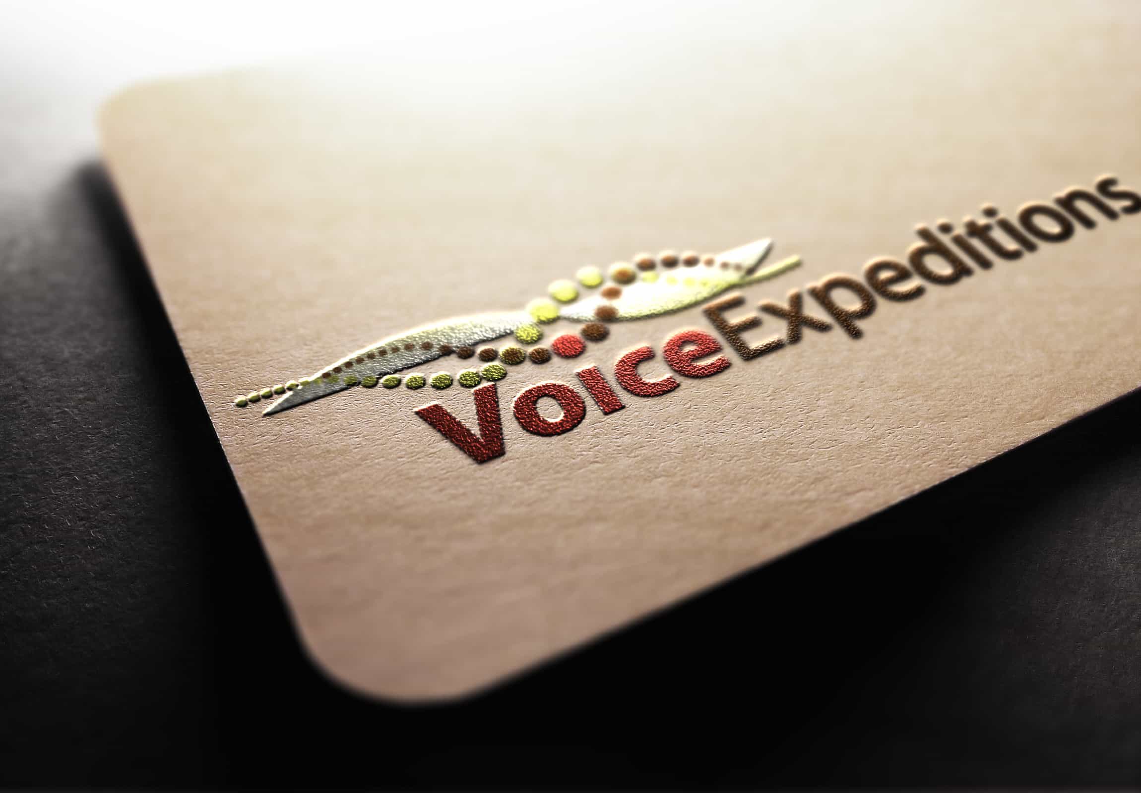 Voice Expeditions - Branding & Marketing